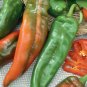 Dark Green Line Chili Cayenne Pepper Vegetable - 1000 Seeds