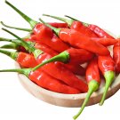 Discoloring Sharp Chili Hot Sichuan Pickled Pepper from White to Orange to Red -