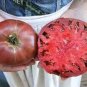 Eluosi' Cherokee Purple Giant Tomato - 100 Seeds