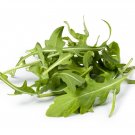 Eruca Salad Rocket Arugula Organic Vegetable - Seeds