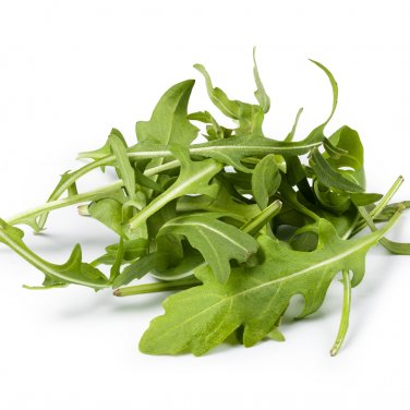 Eruca Salad Rocket Arugula Organic Vegetable - Seeds
