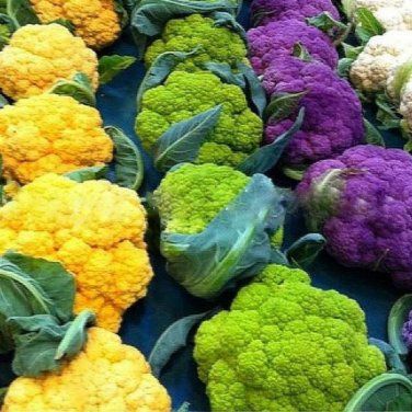 Broccoli, Mixed PurpleRomanescoYellow - 20 Seeds