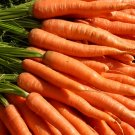 Carrots Krasnyy Velikan Red Giant Organic Russian Heirloom Vegetable - 100 Seeds