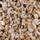 Delicious Mushrooms - 1000 Seeds