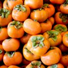Exotic Persimmon Fruit Tree Outdoor Non-GMO Juicy - 10 Seeds