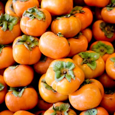 Exotic Persimmon Fruit Tree Outdoor Non-GMO Juicy - 10 Seeds