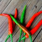 Flame-kissed Delight Exquisite Red Cayenne - 200 Seeds