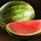 Red Seedless Watermelon Fruit - 10 Seeds