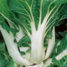 Tall Stem Bok Choy - 500 Seeds