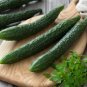 Time-Honored Greens 'Jinyan No.4' Thorny Cucumber - 60 Seeds