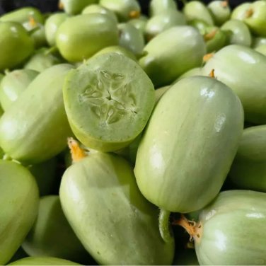 Tiny Elegance Fruits Miniature Butter Thumb Cucumber - 10 Seeds