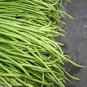 Vigna sinensis Yard Long Bean Mixed Red and Green Color - 100 Seeds