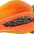 Hainan Red Papaya Green Skin Fruit 6 Seeds