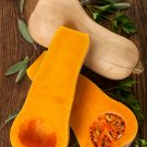 Pink Banana Jumbo Pumpkin Flesh Fruits Squash Vegetable - 20 Seeds