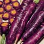 'Haze' Purple Carrot Vegetable - 100 Seeds