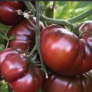 Heirloom Giant Black Krim Tomato Hybrid F2 Vegetables - 100 Seeds
