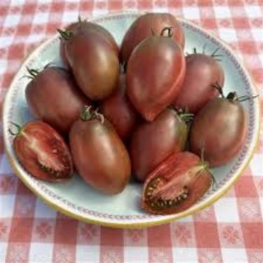 Heirloom 'Zj' Purple Truss Tomato Hybrid - 100 Seeds