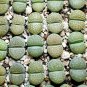 L. julii ssp fulleri cv fullergreen C56A  salicola 'malachite' C56A Combination