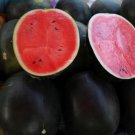 Long Big Black Skin Pink Watermelon Fruit - 8 Seeds