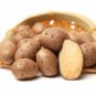 Chinese Yam Vegetable , Herbs Dioscorea Opposita - 6 Seeds