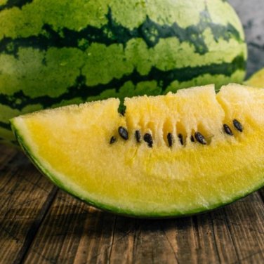 Big Black Yellow Skin Red Inside Watermelon - 10 Seeds