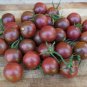 Black Royal Little Cherry Tomato Organic - 100 Seeds