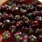 Mini Chocolate Sweet Bell Pepper - 20 Seeds