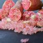 Mixed Finger Lime Green Red Pink Fruit - 20 Seeds