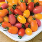 Mixed 27 Types of Different Tomato Family - 100 Seeds