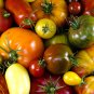 Mixed 27 Types of Different Tomato Family - 100 Seeds