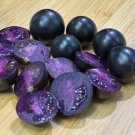 New Hybrid Purple Pearl Cherry Tomato - 100 Seeds