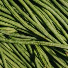 Green Kidney Bean Organic Vegetable - 25 Seeds