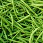Green Kidney Bean Organic Vegetable - 25 Seeds
