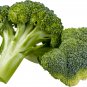 Green Organic Broccoli Heirloom Vegetables - 60 Seeds