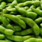 Green Soy Beans Cowpeas Vegetable - 25 Seeds
