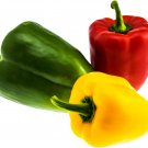 Fresh Mix Sweet Bell Pepper - 20 Seeds