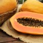 Fresh Organic Pawpaw Giant Red Lady Exotic Carica Papaya - 8 Seeds