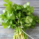 Four Seasons Parsley Organic Coriander - 160 Seeds
