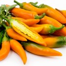 Chilli Bulgarian Carrot Hot Pepper - 20 Seeds