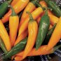 Chilli Bulgarian Carrot Hot Pepper - 20 Seeds