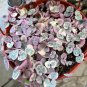 Ceropegia Seeds Succulent Hanging Bonsai Plants - 100 Seeds