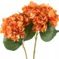 Champagne Hydrangea Seeds Ice Cream Light Orange Flowers - 20 Seeds