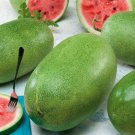 Charleston Grey Giant Long Watermelon - 20 Seeds