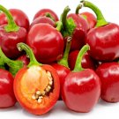 Cherry Bomb Red Hot Chile Pepper - 20 Seeds