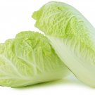 Chinese Cabbage Autumn Vegetables - 10 Seeds