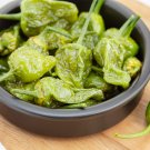 Famous Spanish Heirloom Padron Pepper - 10 Seeds