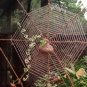 HOME&GARDEN DECARATION/ HAND MADE SPIDER NET