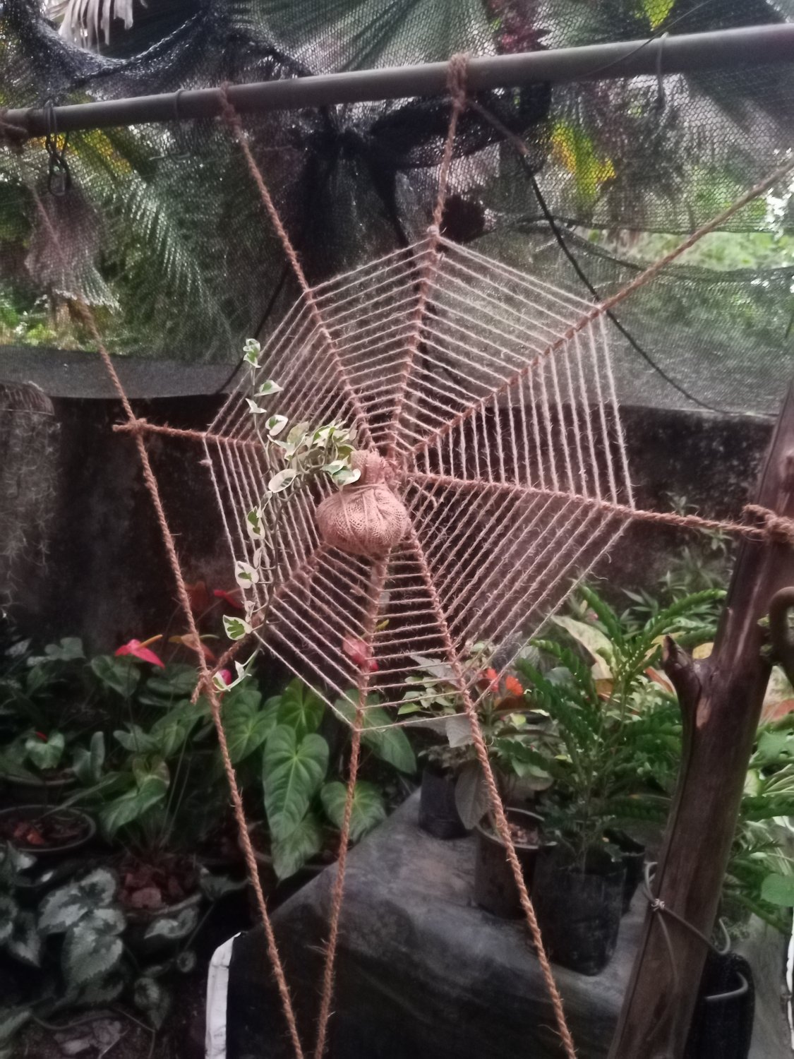 HOME&GARDEN DECARATION/ HAND MADE SPIDER NET