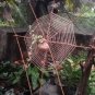 HOME&GARDEN DECARATION/ HAND MADE SPIDER NET