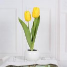 Tulip Lamp Desk Lamp LED, 2 head yellow